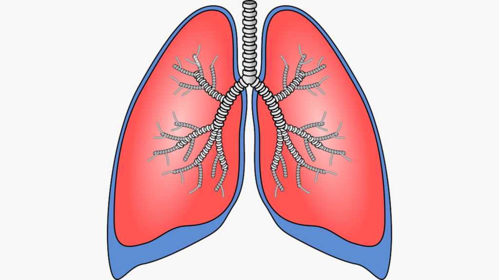 What is the Best Medicine for Lung Infection?