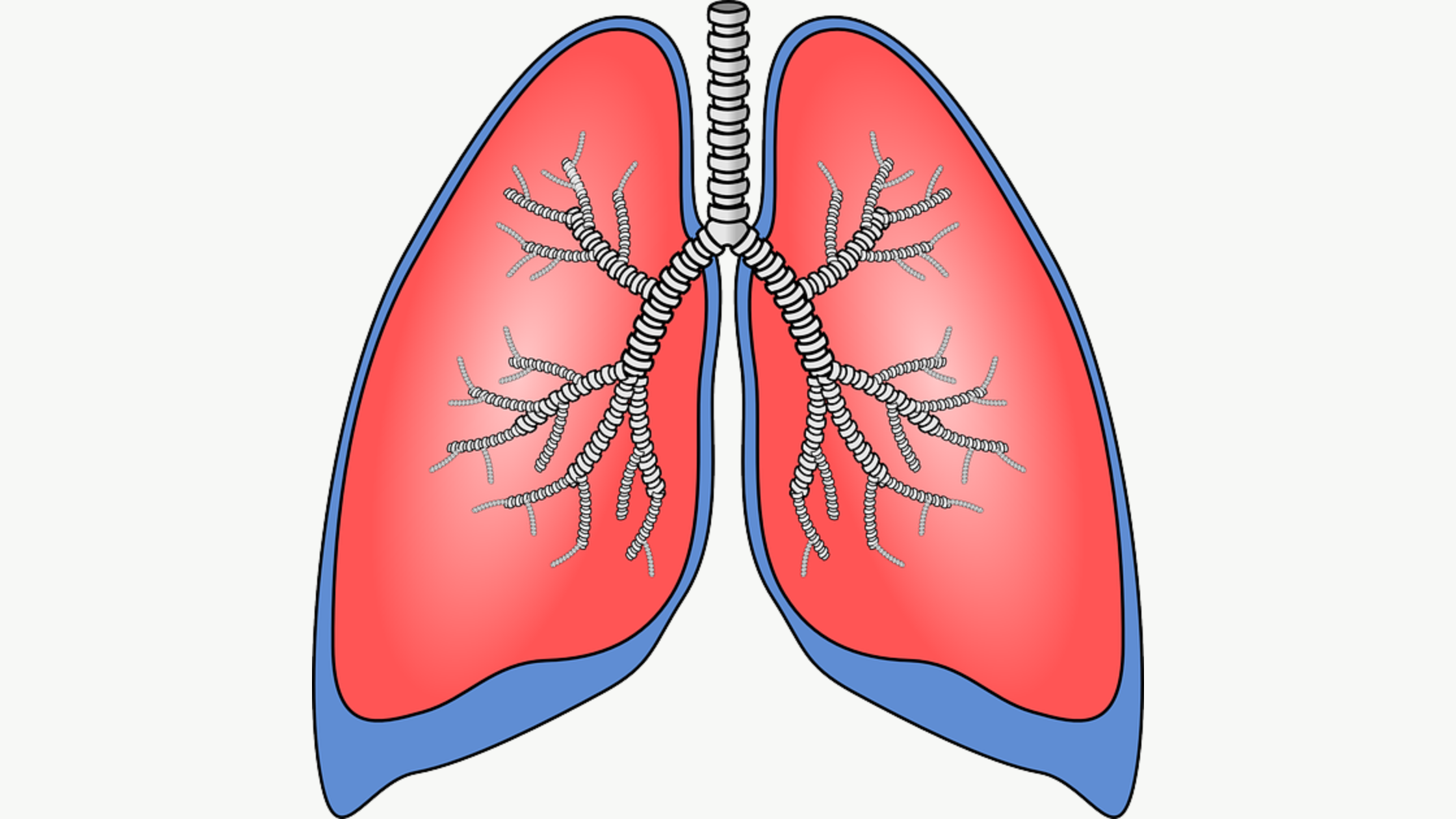 What is the Best Medicine for Lung Infection?