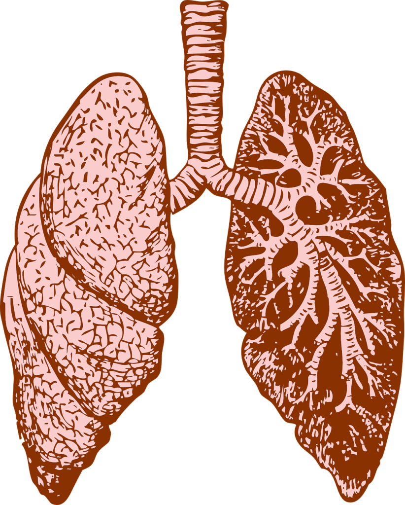 what-is-a-good-antibiotic-for-upper-respiratory-infection-best