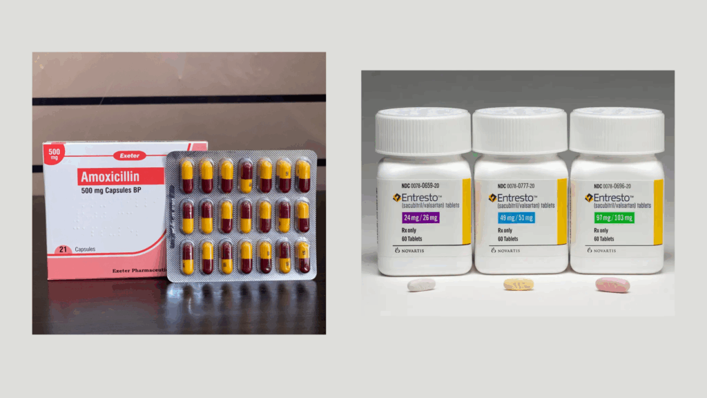 can you take amoxicillin with entresto