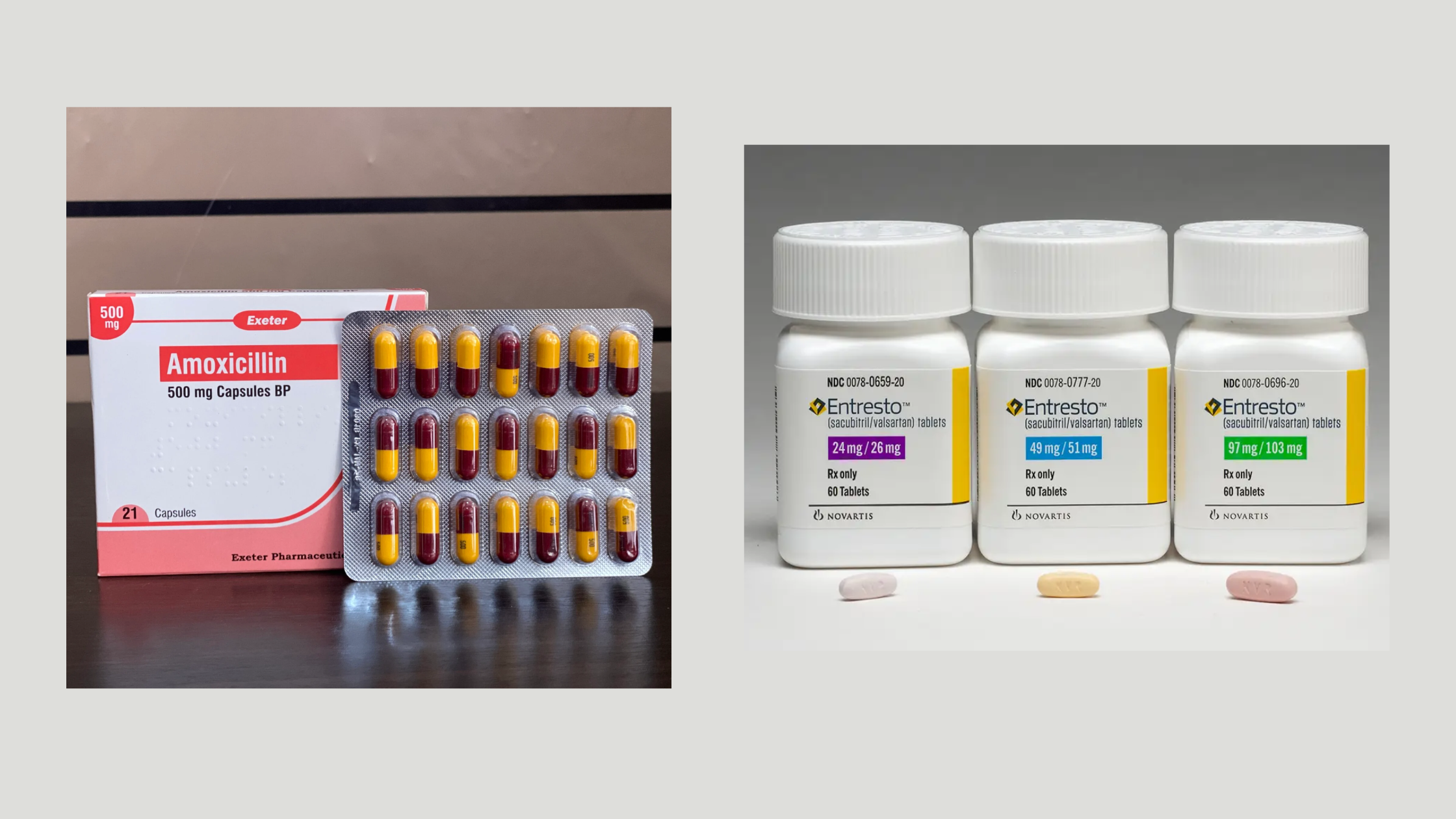 can you take amoxicillin with entresto