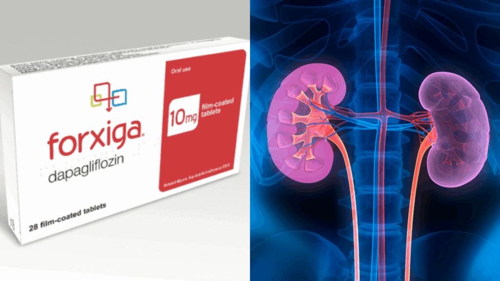 is forxiga bad for kidneys?