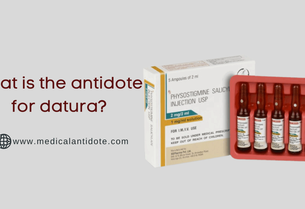 the antidote for datura